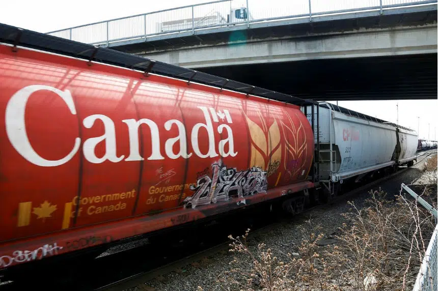 Grain rail backlogs ‘unfortunate’ issue: federal agriculture minister