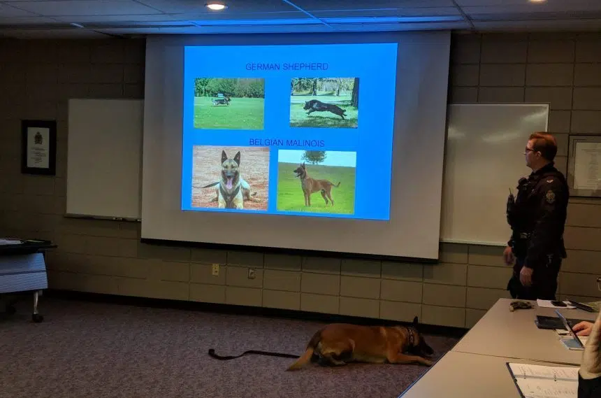 Canine unit trains to sniff out drugs and explosives