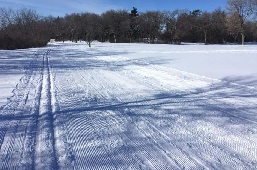 Snow brings new life for skiers in Regina