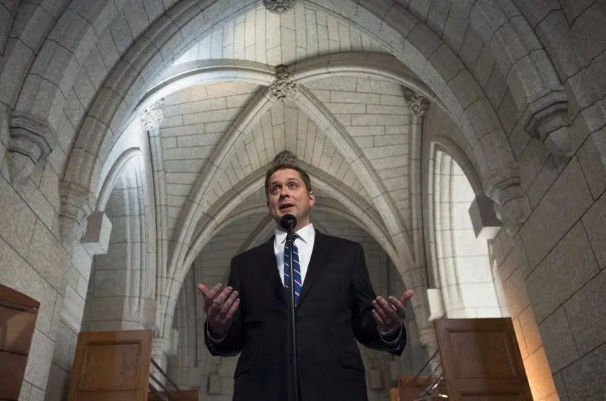 One year of Scheer: Conservatives mark first anniversary with new leader