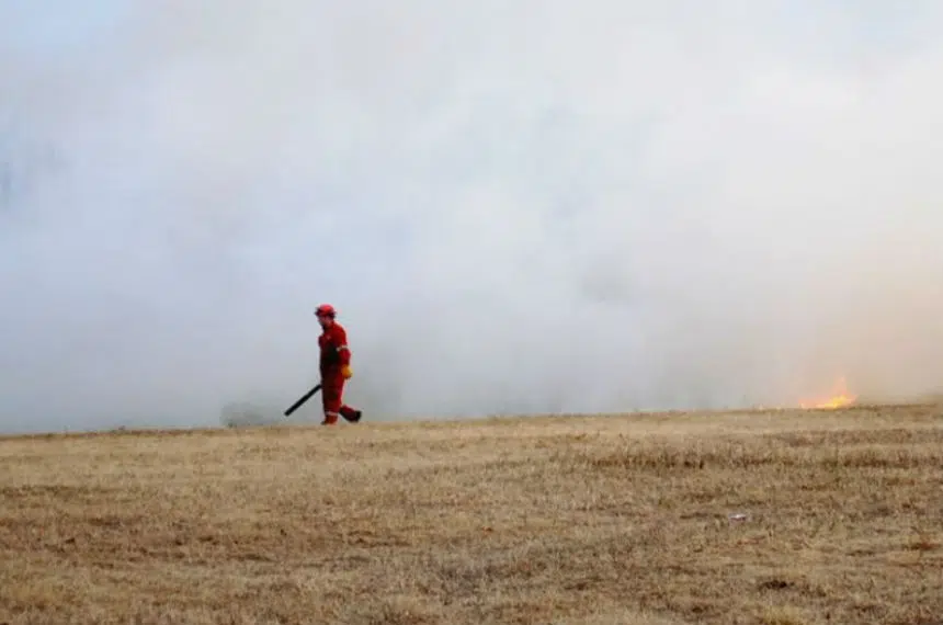 Blazing bunny turns controlled burn into wildfire