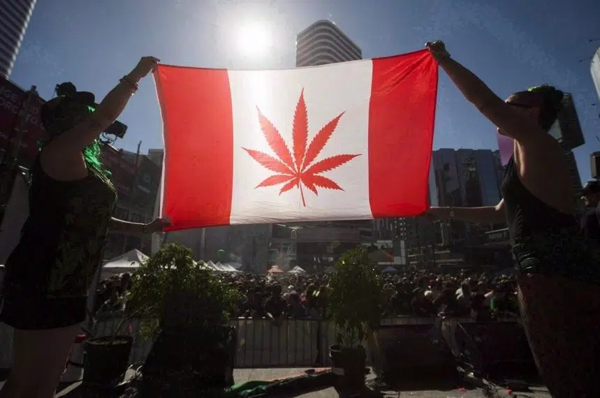 Many employers not ready for legal weed, World Cannabis Congress told