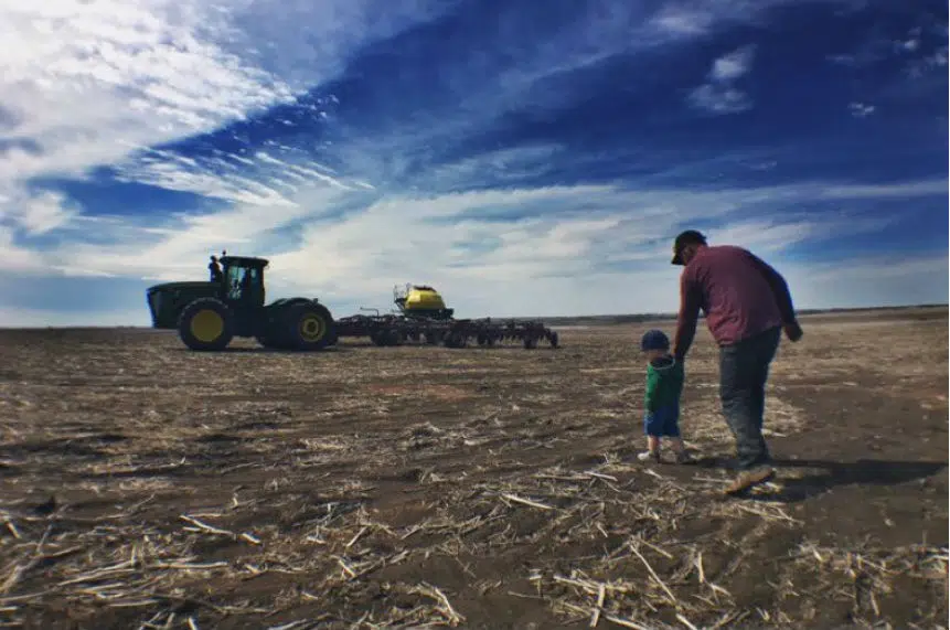 Sask. farmers feel relief after recent rainfall