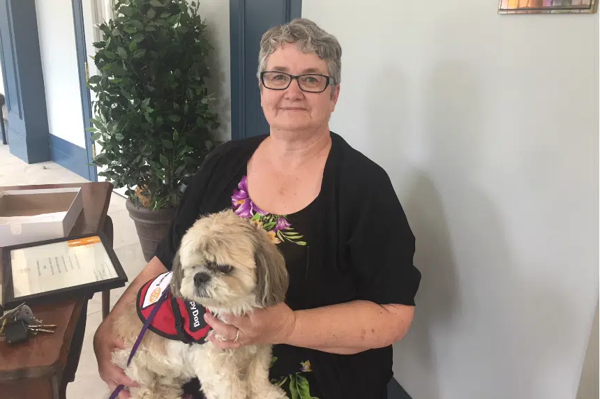 Therapy dogs honoured after work during Humboldt tragedy