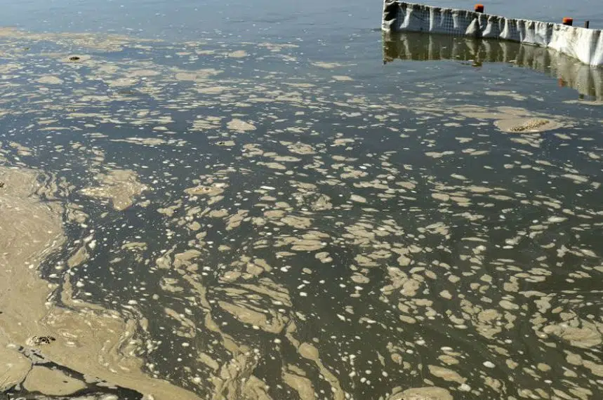 Cree Nations seek damages following 2016 Husky oil spill