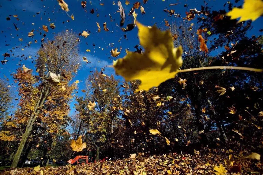 Weather Network forecasts a mild fall with a steady transition to winter
