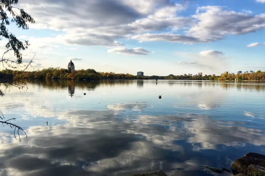 Too much goose poop? Don't feed the birds, says Wascana Centre