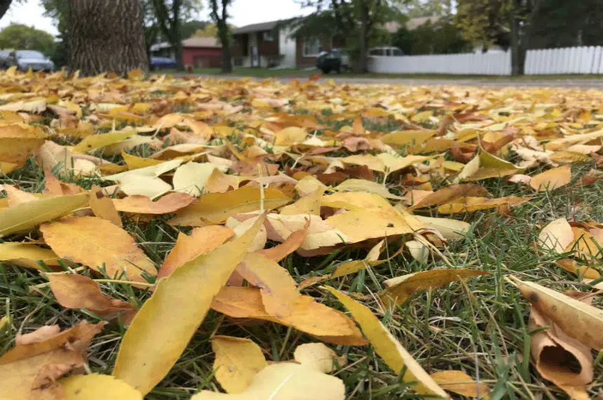 Late fall warm-up expected: Environment Canada