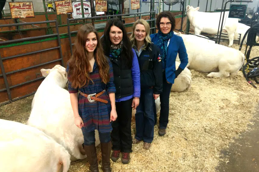 Family of cattlewomen show at Agribition