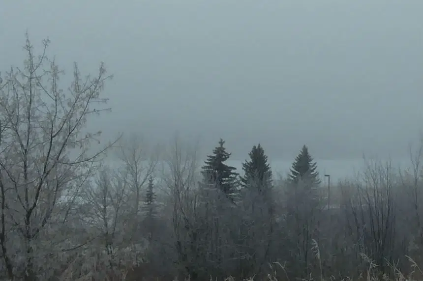 Environment Canada issues special weather statement, fog advisory