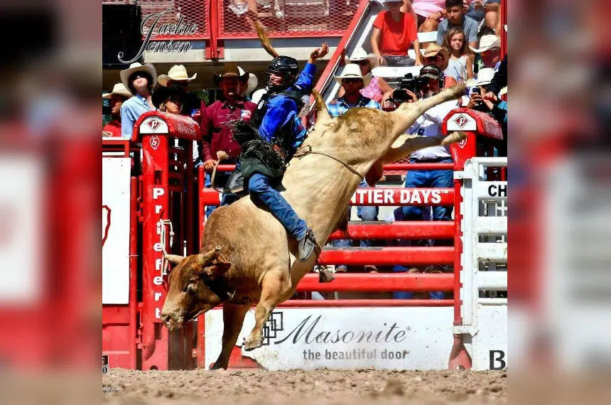 Maple Creek bull rider ready for Agribition pro rodeo 