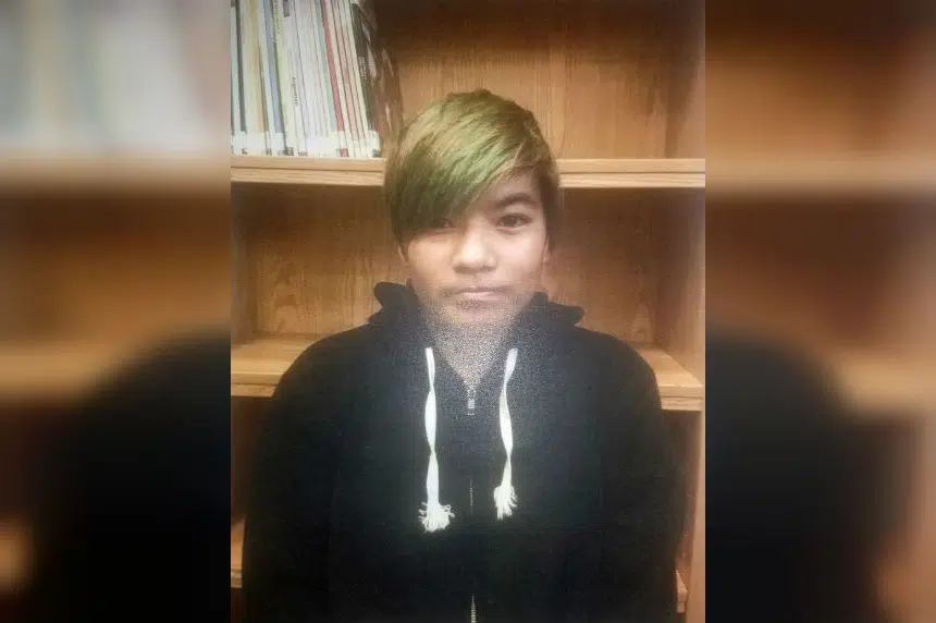 Police renew call for help to find missing 14-year-old girl