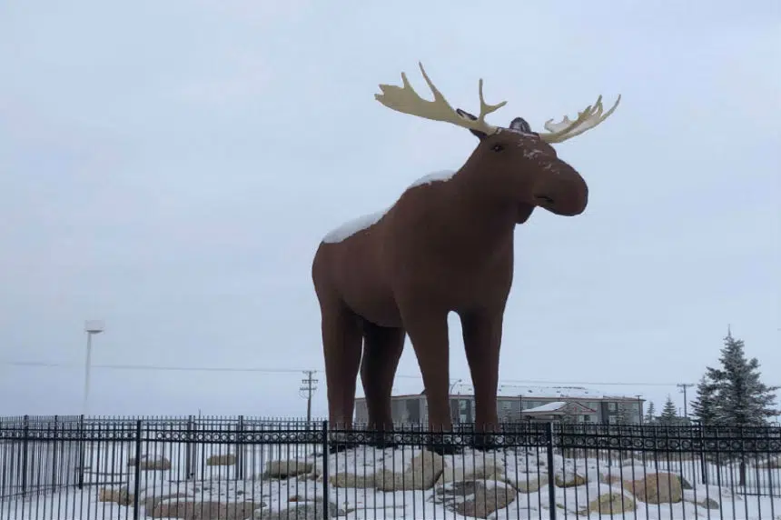 Moose Jaw and Norway officials to stage a "moose summit"