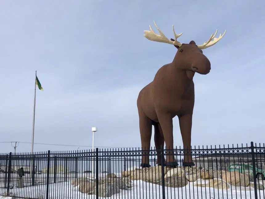 Nova Scotian pens song rejecting moose truce with Norway