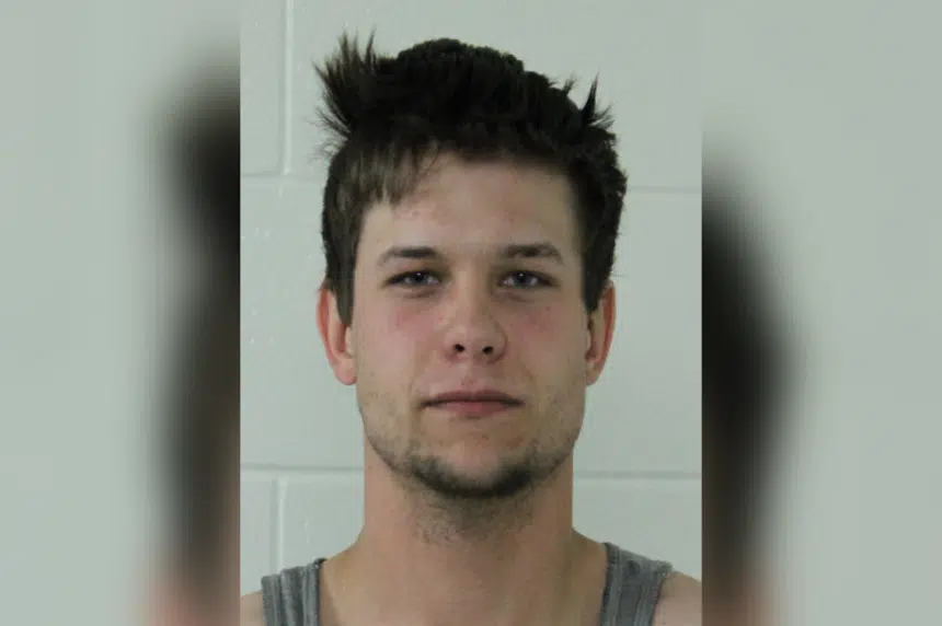 Police arrest man wanted after stabbing in Melfort last month