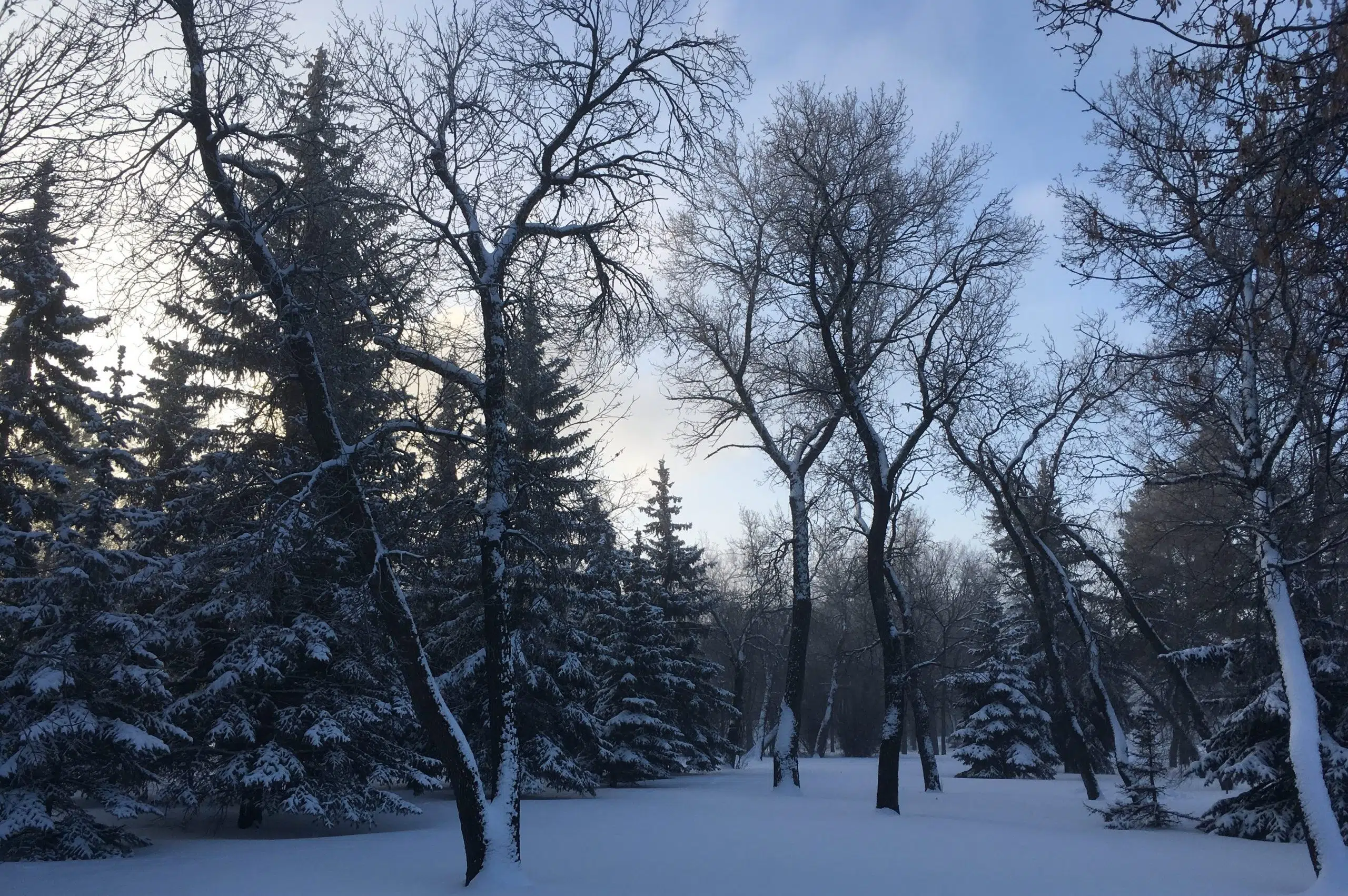 Extreme cold lifts in Sask.