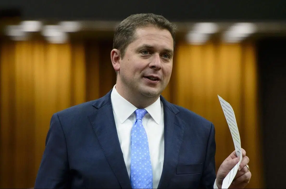 Baloney Meter: A lot of baloney in Scheer statements on energy independence