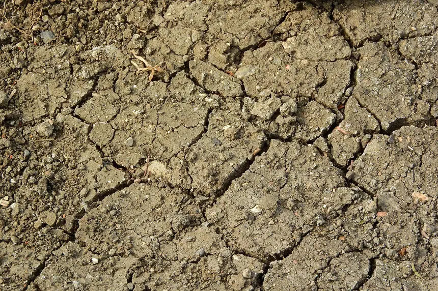 Drought continues to hamper farming conditions: crop report