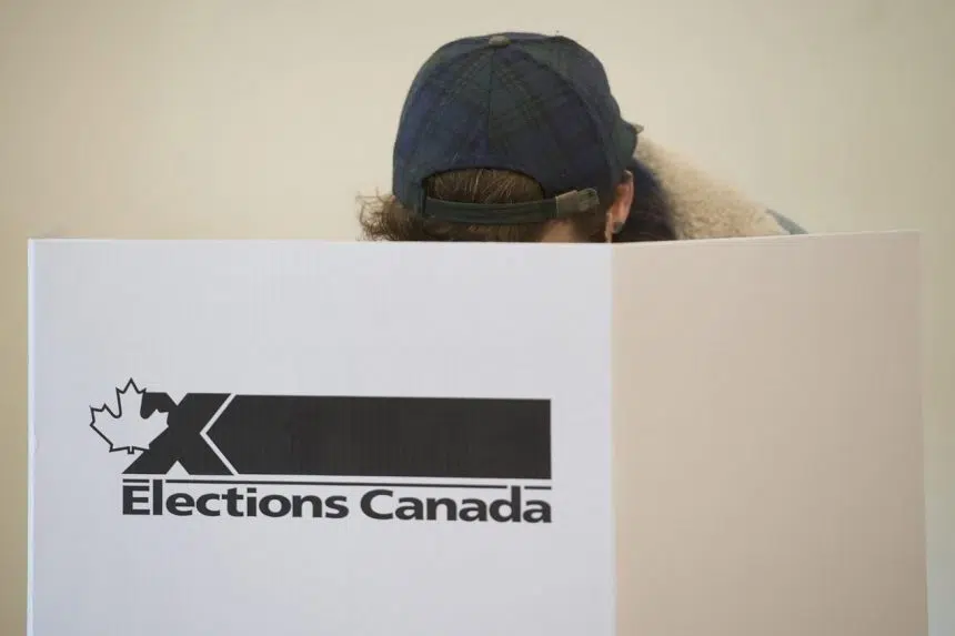 Elections Canada scraps social media ‘influencers’ to encourage youth vote