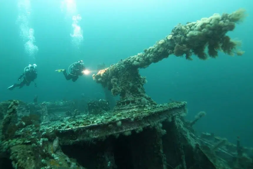 Armed Forces to sweep explosives from Nazi-sunk ships off Newfoundland