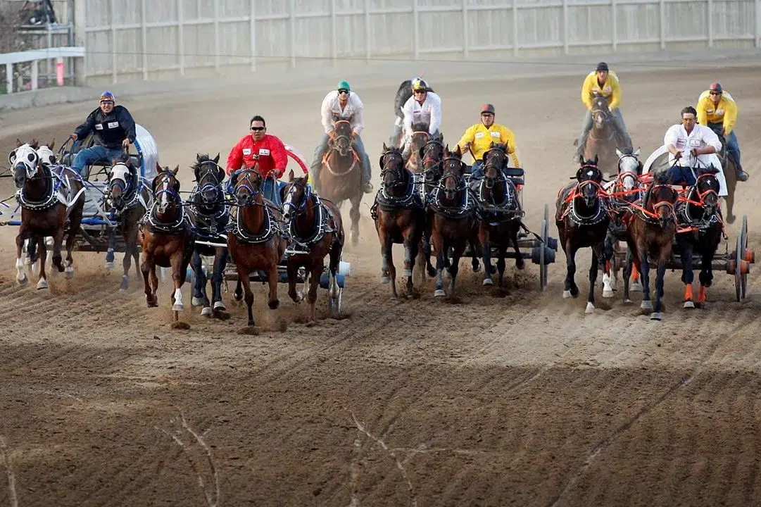 Group wants charges in horse deaths during Calgary Stampede chuckwagon races