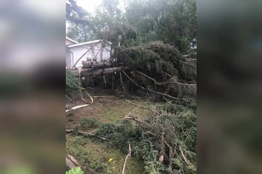 Clean-up in Balcarres after vicious storm hits area