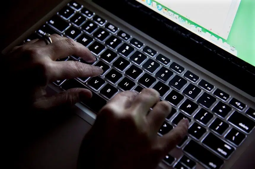 Court urges new laws to assign liability for victims of cyberfraud