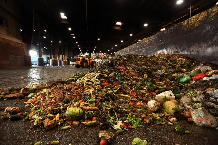 Five meals a week: Scientists audit garbage to assess household food waste