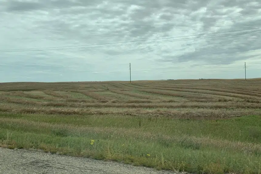 Moisture keeping combines off the field in Sask.