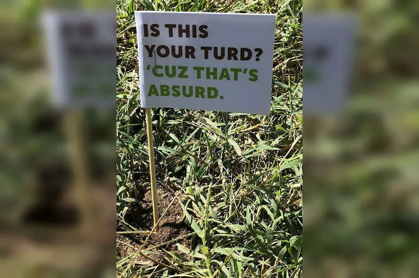 ‘Is this your turd?’: Missouri city’s cleanup flags dog poop