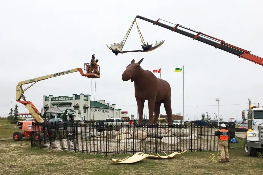 ‘World-record rack:’ Crew crowns Mac the Moose statue with new antlers