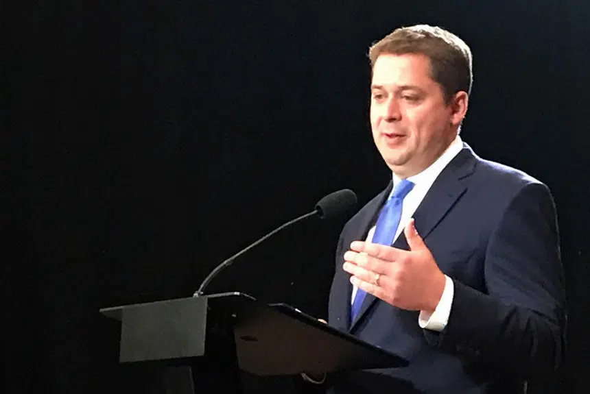 Scheer steps down as Conservative leader