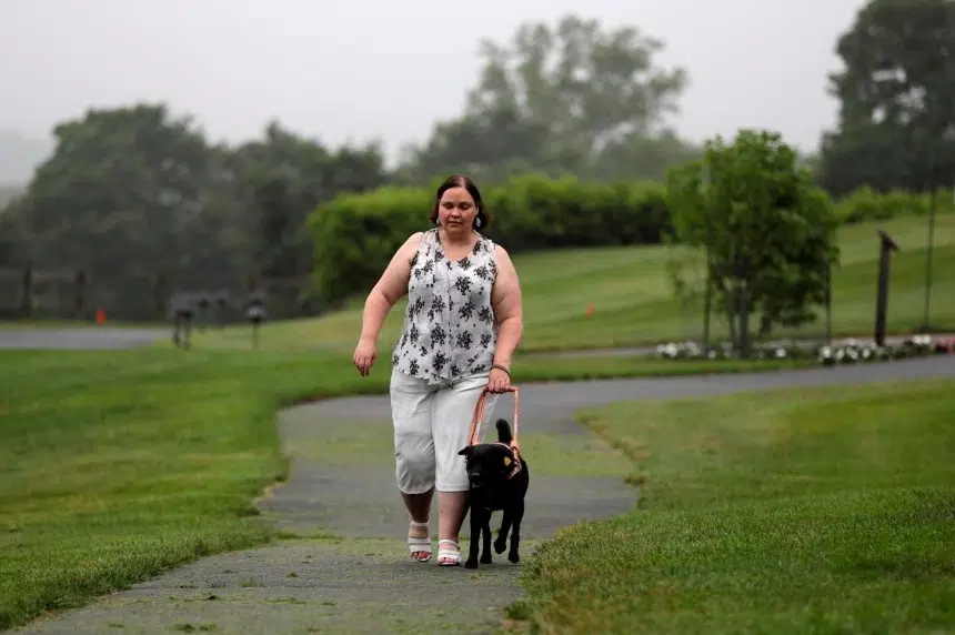 Hello Lucy! A reporter shares the emotional story of bonding with her guide dog