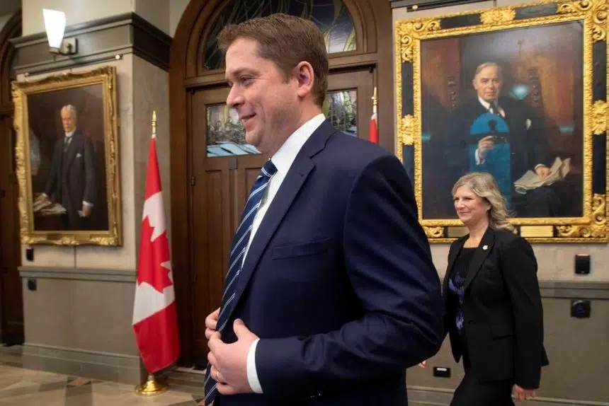 Former Liberal appointed Scheer’s deputy as leader vows to stay on at the top