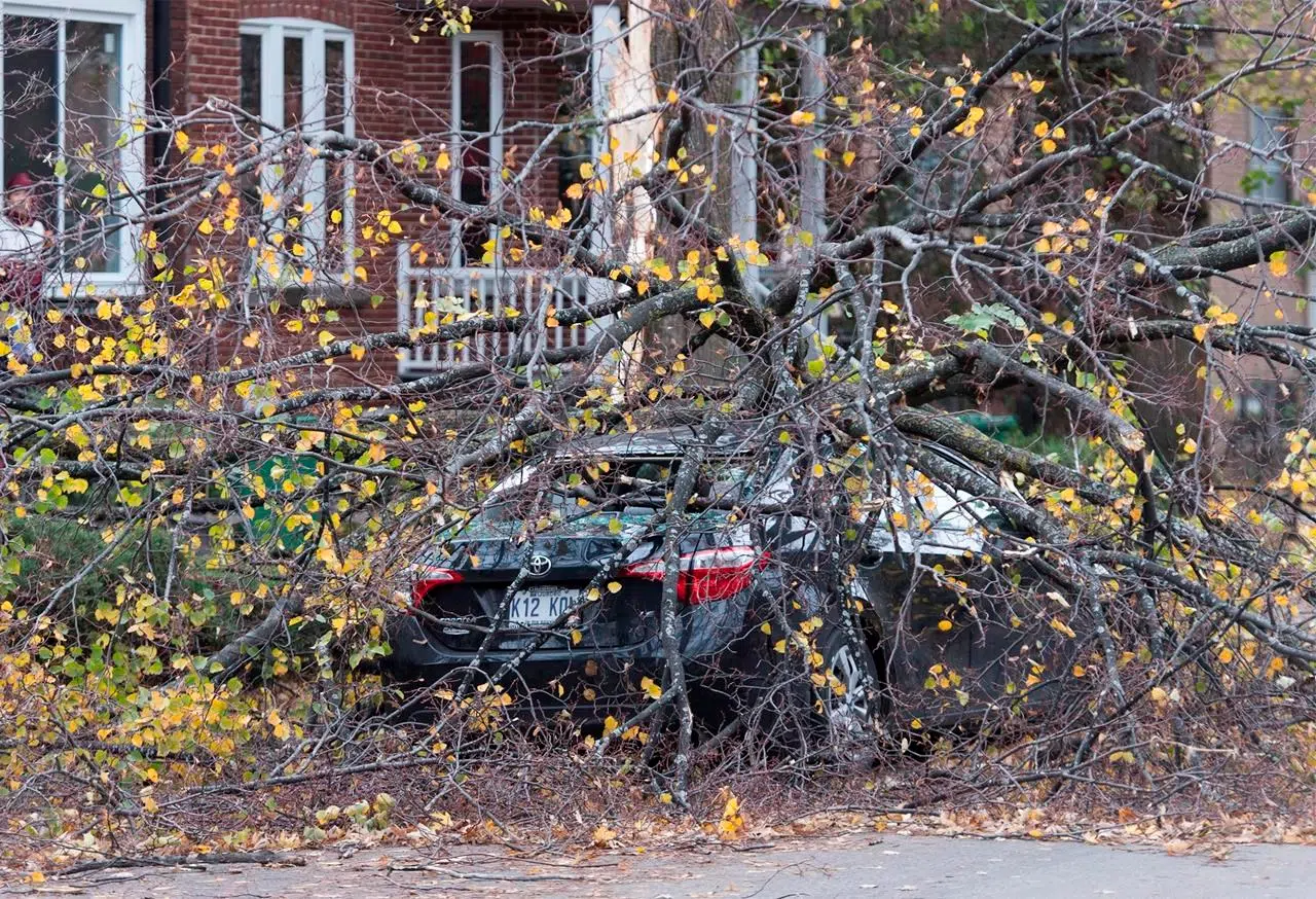 1 dead, almost 629,000 customers without power following wind storm in Quebec