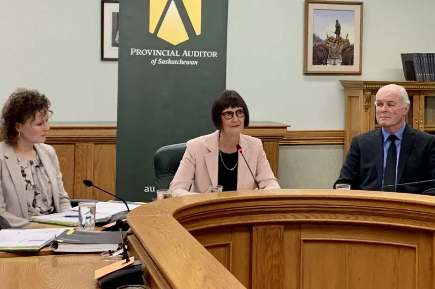 Auditor calls for action to combat suicides in northwest Sask.