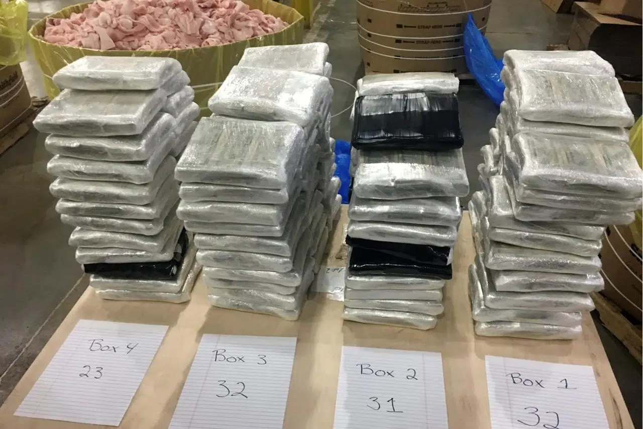 Oink oink, cha-ching: $3 million found in barrels of pork