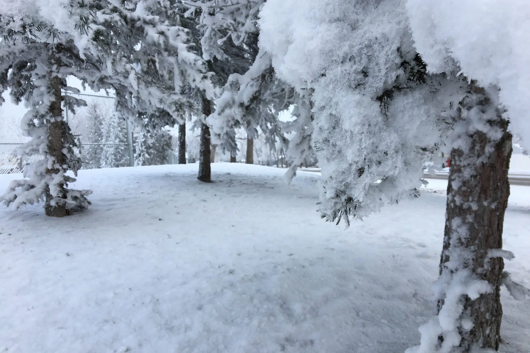 Environment Canada forecasting heavy snowfall during weekend storm
