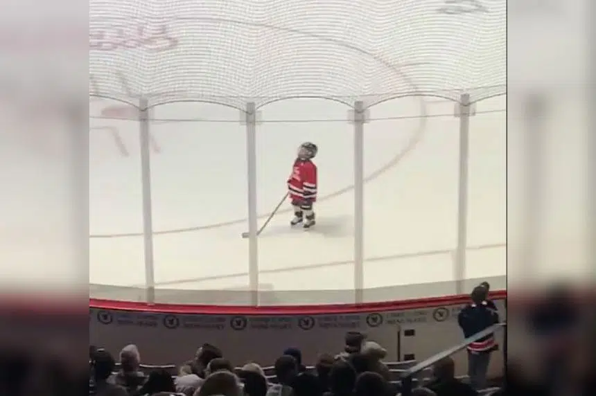 Five-year-old Regina hockey player shows off intense focus
