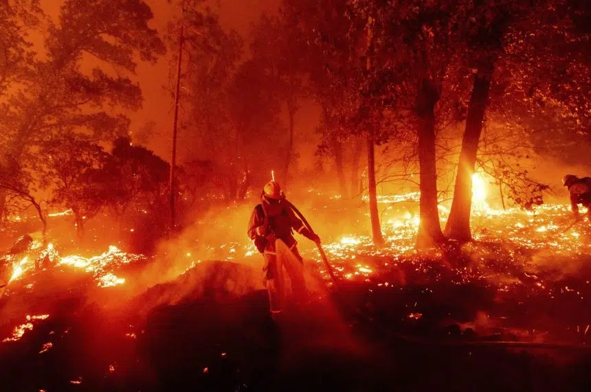 'It's nuts': Ex-Regina resident on California wildfires