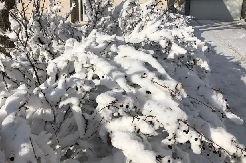 Another winter blast coming through Saskatchewan