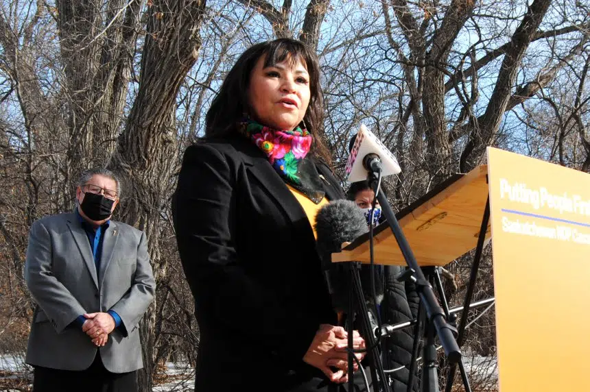 NDP calling for Indigenous consultation on Wascana Park bylaws