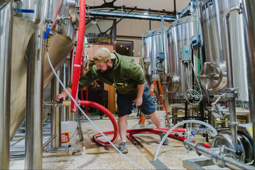 A cold glass of Saskatchewan: It's craft beer week