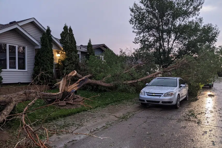 'It was incredible': Residents react to powerful Regina storm