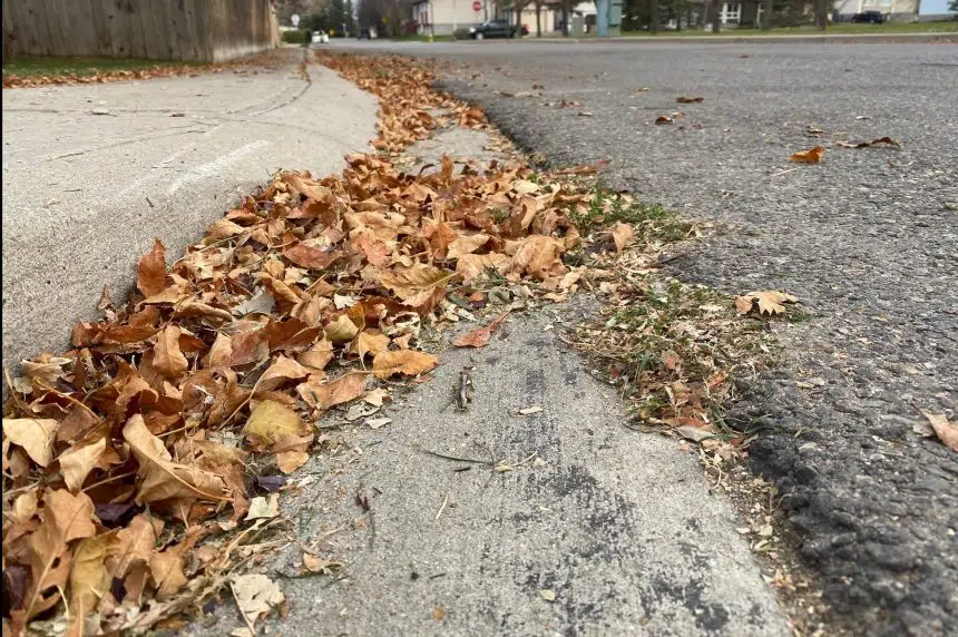'Milder than normal' November anticipated by Environment Canada meteorologist