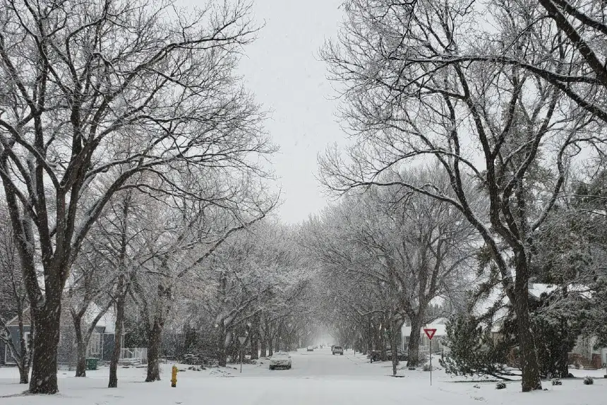 Heaviest snow expected Wednesday and Thursday in parts of southeastern Sask.