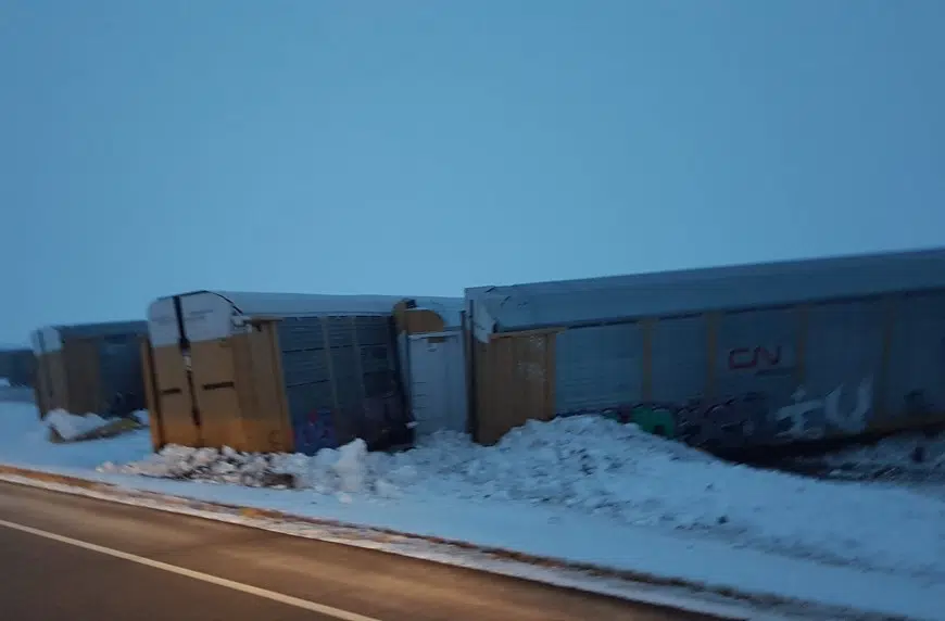 Train derails between Rouleau and Wilcox