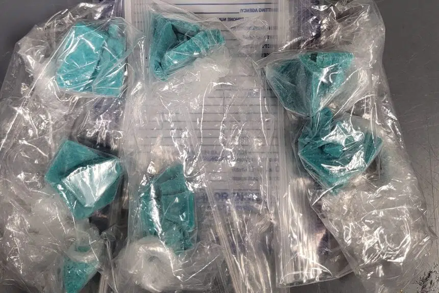 Drug bust in Regina nets nearly half a kilo of fentanyl