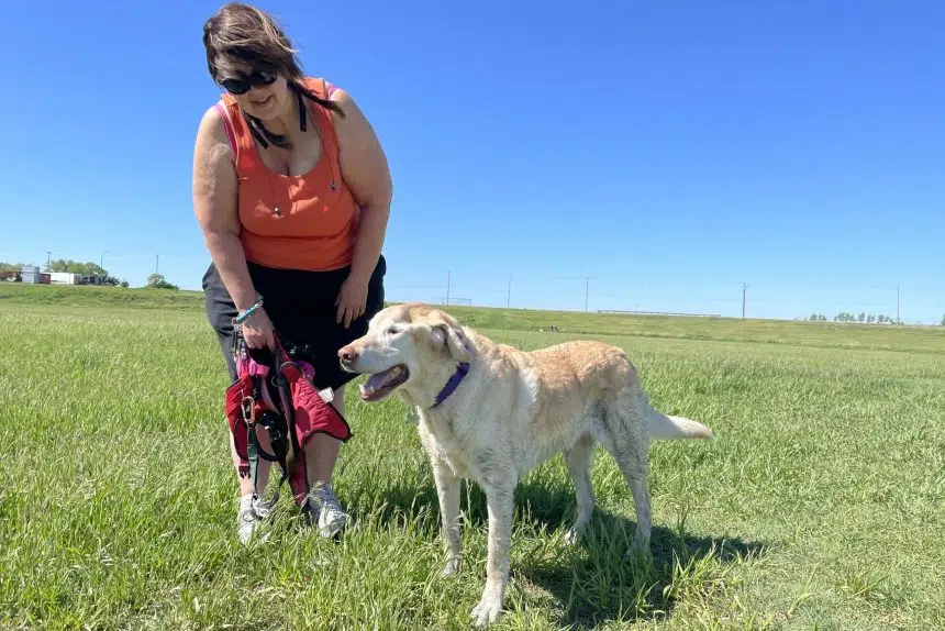 Pets and owners keeping cool at Regina dog park