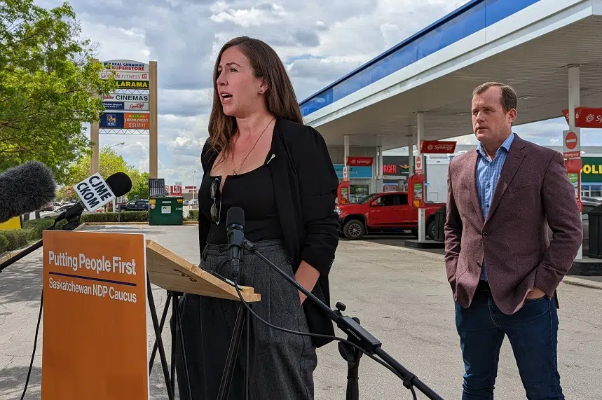 'We need something now': Sask. NDP calls for immediate government support